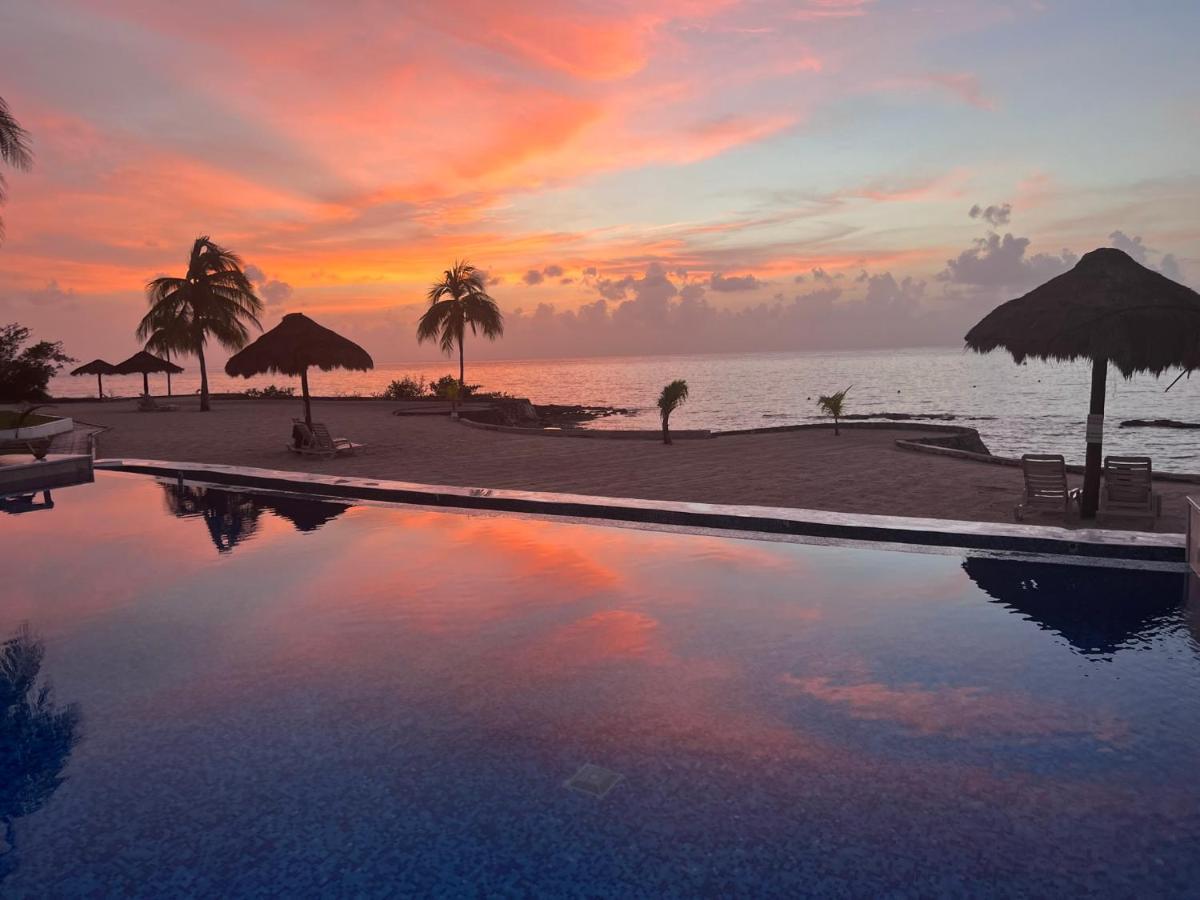 The Queen Of Cozumel Beach House -Luxury Beachfront Villa- Million Dollars View المظهر الخارجي الصورة
