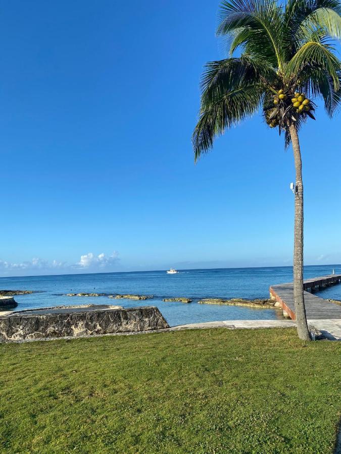 The Queen Of Cozumel Beach House -Luxury Beachfront Villa- Million Dollars View المظهر الخارجي الصورة